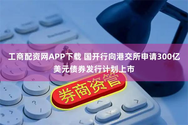 工商配资网APP下载 国开行向港交所申请300亿美元债券发行计划上市
