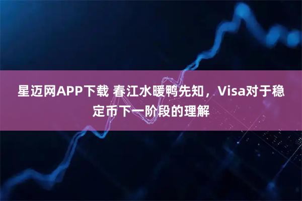 星迈网APP下载 春江水暖鸭先知，Visa对于稳定币下一阶段的理解